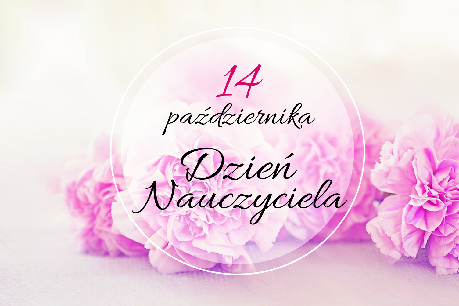 Jasno fioletowe kwiaty dzień nauczyciela